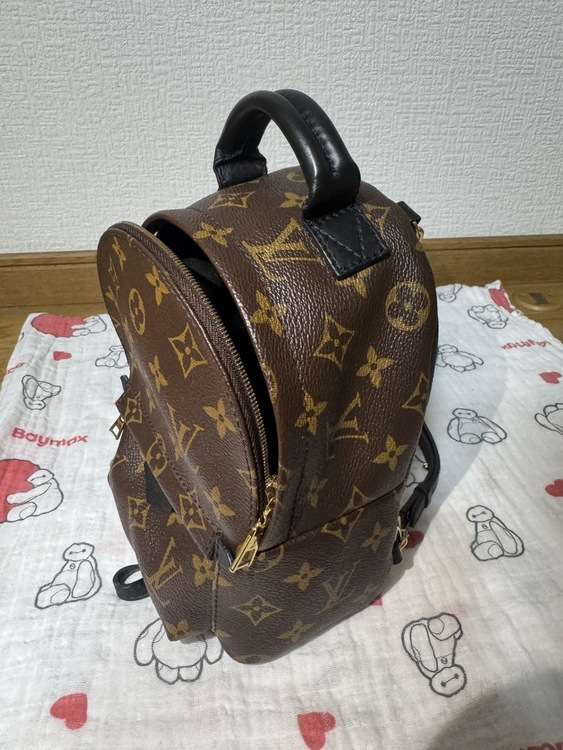 パームスプリングスバックパックMINI（ブランドバッグ）の商品画像 - 査定依頼日：2026年6月4日 - 最高査定価格：120,000円