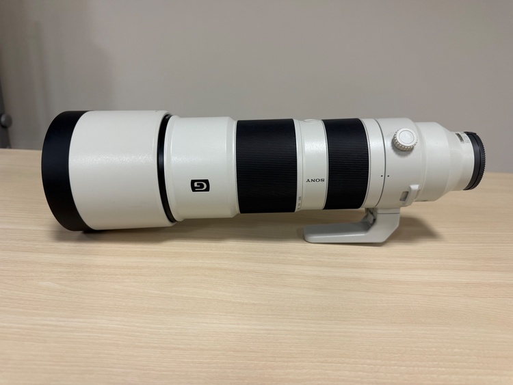 SEL200600G（カメラ）の商品画像 - 査定依頼日：2026年7月16日 - 最高査定価格：100,000円
