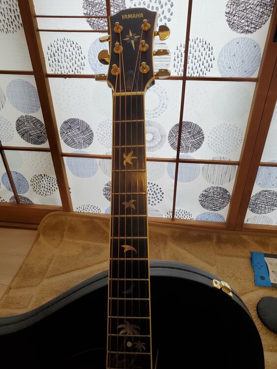 CPX SA15NA（ピアノ・楽器・PA機材）の商品画像 - 査定依頼日：2026年1月20日 - 最高査定価格：50,000円