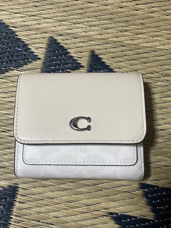 その他 コーチ （ブランドバッグ）の商品画像 - 査定依頼日：2025年6月23日 - 最高査定価格：3,000円