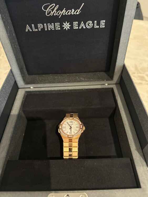 ALPINE EAGLE（高級時計）の商品画像 - 査定依頼日：2025年1月22日 - 最高査定価格：3,500,000円