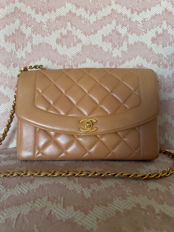 ダイアナ（ブランドバッグ）の商品画像 - 査定依頼日：2025年10月6日 - 最高査定価格：500,000円