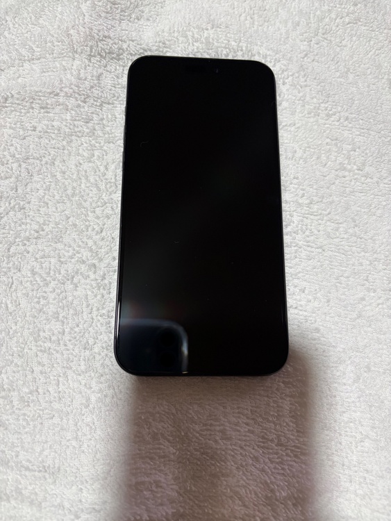 iPhone iPhone 15 Pro Max 256GB docomo（スマホ）の商品画像 - 査定依頼日：2026年7月31日 - 最高査定価格：97,000円