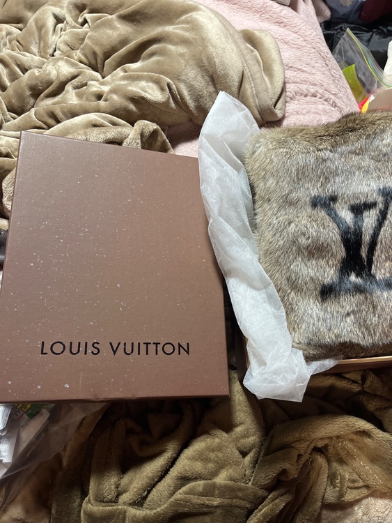 ルイヴィトン ルイヴィトン(その他) （ブランドバッグ）の商品画像 - 査定依頼日：2026年2月10日 - 最高査定価格：105,000円