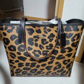 その他 コーチ（ブランドバッグ）の商品画像 - 査定依頼日：2026年8月16日 - 最高査定価格：4,000円