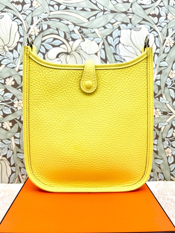 エブリンtpm（ブランドバッグ）の商品画像 - 査定依頼日：2026年2月20日 - 最高査定価格：300,000円