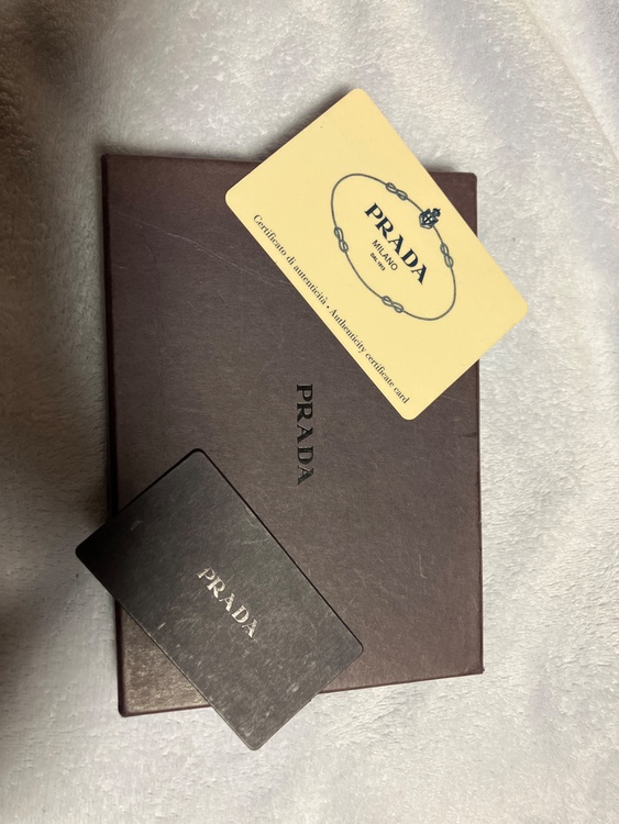 プラダ  （ブランドバッグ）の商品画像 - 査定依頼日：2026年1月5日 - 最高査定価格：13,000円