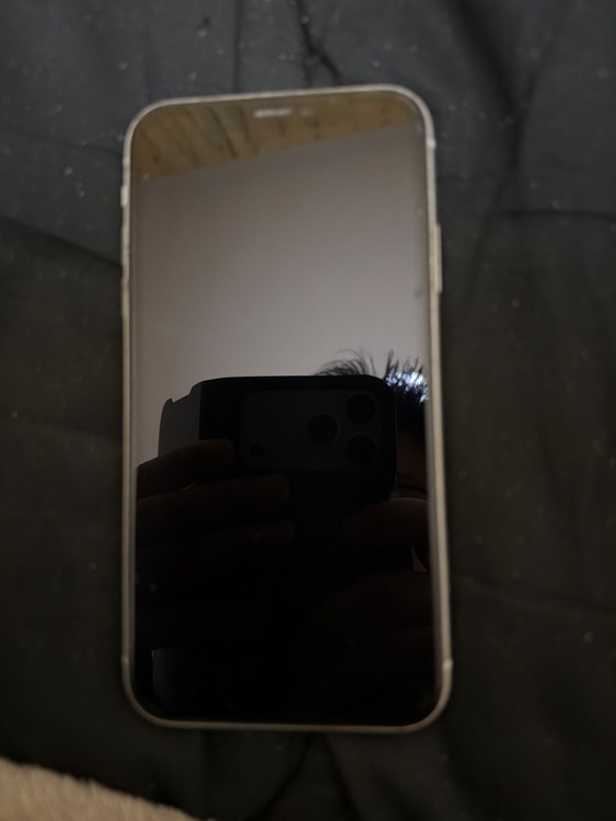 iPhoneXR 64GB docomo（スマホ）の商品画像 - 査定依頼日：2026年2月10日 - 最高査定価格：14,000円