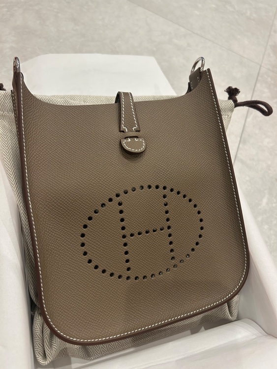 エブリン　セリエ　TPM（ブランドバッグ）の商品画像 - 査定依頼日：2026年1月13日 - 最高査定価格：380,000円