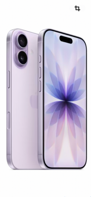 iPhone17 258GB（スマホ）の商品画像 - 査定依頼日：2026年5月11日 - 最高査定価格：113,000円