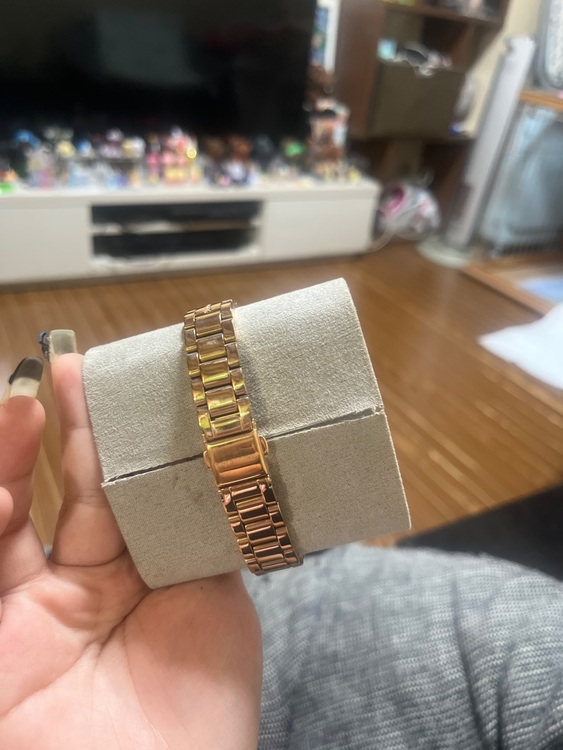 その他 その他 （高級時計）の商品画像 - 査定依頼日：2025年9月30日 - 最高査定価格：3,000円