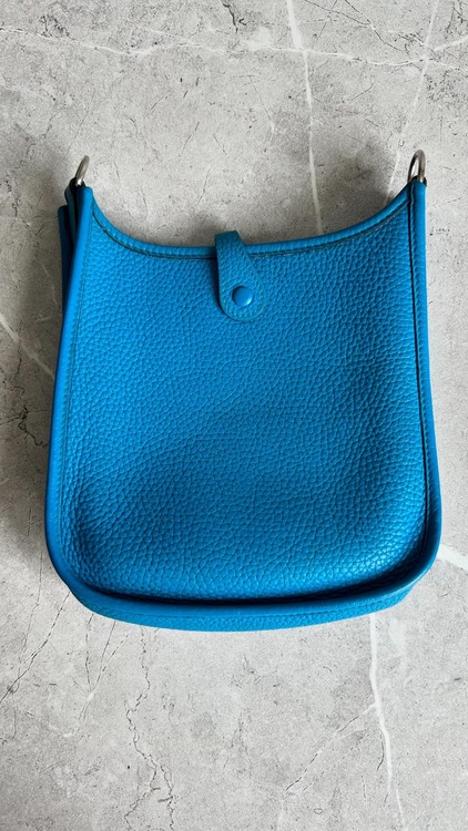 エブリンミニ（ブランドバッグ）の商品画像 - 査定依頼日：2026年1月16日 - 最高査定価格：330,000円