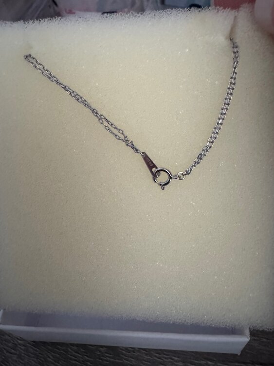 ホワイトゴールドブレスレット（金・貴金属）の商品画像 - 査定依頼日：2025年4月9日 - 最高査定価格：20,000円