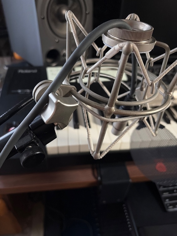 Warm audio wa-67（ピアノ・楽器・PA機材）の商品画像 - 査定依頼日：2026年7月8日 - 最高査定価格：33,000円