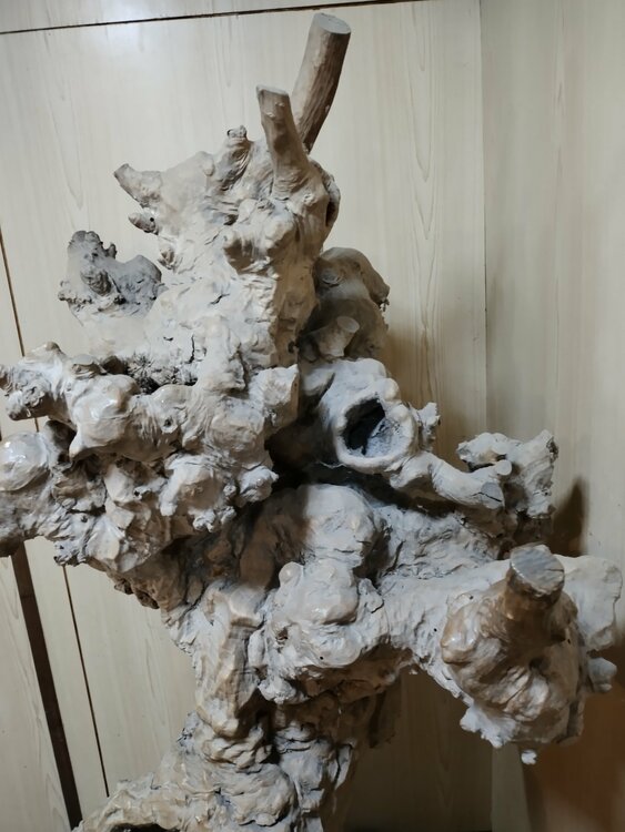 瘤木（原木）（美術品・骨董品）の商品画像 - 査定依頼日：2026年9月29日 - 最高査定価格：3,000円