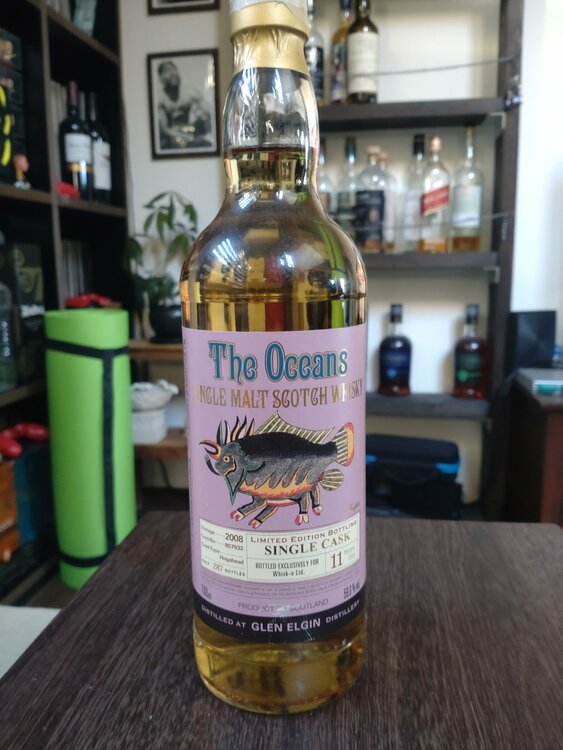 ザ　オーシャンズ（お酒）の商品画像 - 査定依頼日：2026年1月31日 - 最高査定価格：60,000円