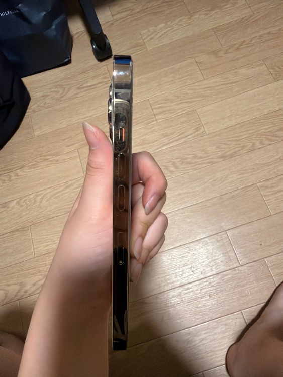iPhone iPhone 13 Pro 256GB SIMフリー（スマホ）の商品画像 - 査定依頼日：2026年9月16日 - 最高査定価格：48,500円