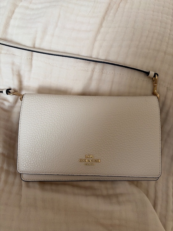 その他 コーチ （ブランドバッグ）の商品画像 - 査定依頼日：2026年2月21日 - 最高査定価格：100,000円