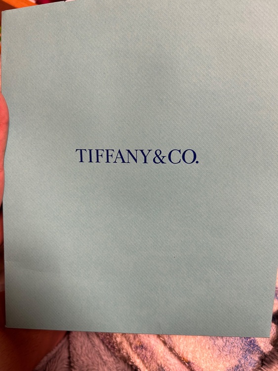 ラブストラックハートタグブレスレット シルバー（金・貴金属）の商品画像 - 査定依頼日：2025年10月2日 - 最高査定価格：25,000円