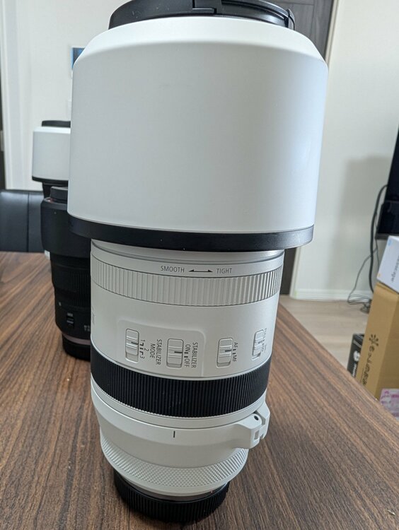 RF100-500（カメラ）の商品画像 - 査定依頼日：2026年2月18日 - 最高査定価格：230,000円