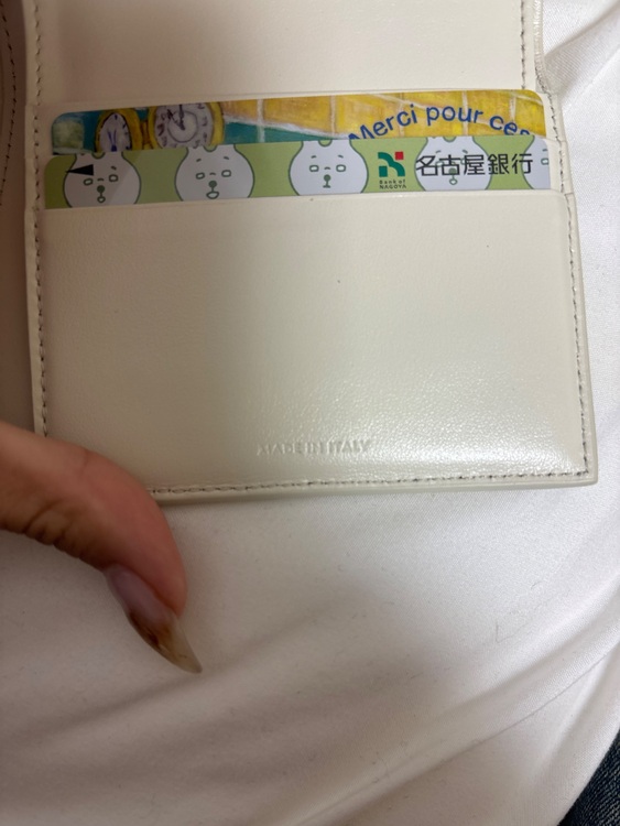 セリーヌ  （ブランドバッグ）の商品画像 - 査定依頼日：2025年11月13日 - 最高査定価格：45,000円