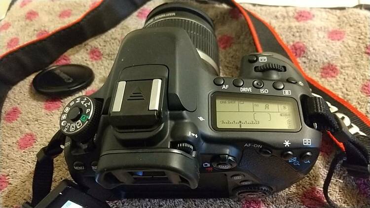 CanonEOS80d（カメラ）の商品画像 - 査定依頼日：2026年4月26日 - 最高査定価格：43,100円