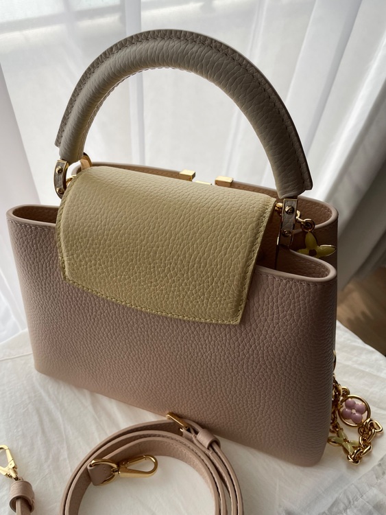 カプシーヌ（ブランドバッグ）の商品画像 - 査定依頼日：2025年10月29日 - 最高査定価格：450,000円