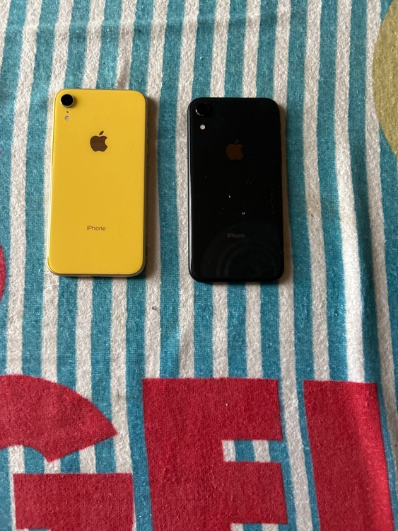 iPhone iPhone 14 Pro Max 256GB docomo（スマホ）の商品画像 - 査定依頼日：2026年9月23日 - 最高査定価格：76,000円