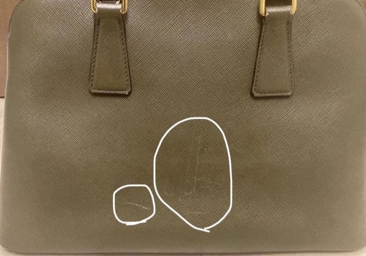 サフィアーノ（ブランドバッグ）の商品画像 - 査定依頼日：2026年2月18日 - 最高査定価格：100,000円