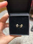 ピアス（金・貴金属）の商品画像 - 査定依頼日：2025年4月27日 - 最高査定価格：3,000円