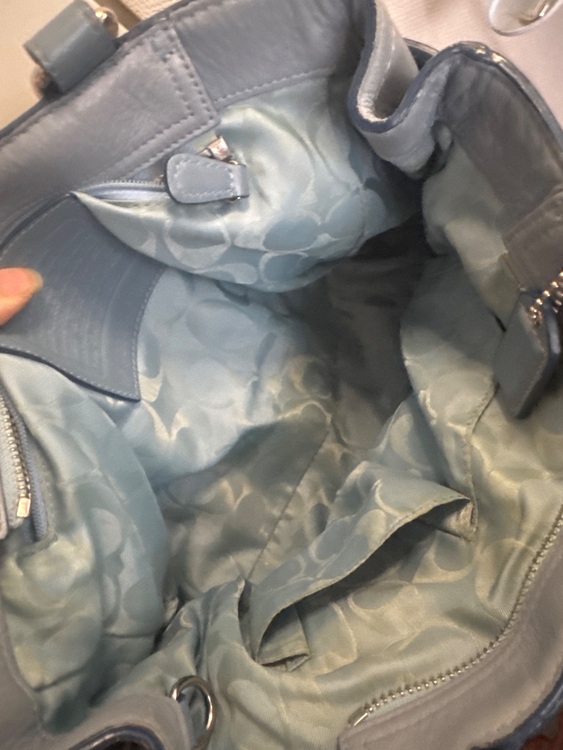 分かりません（ブランドバッグ）の商品画像 - 査定依頼日：2025年6月29日 - 最高査定価格：3,000円