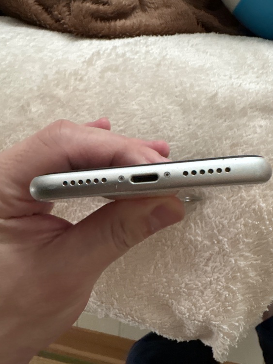iPhone iPhone11 128GB Softbank（スマホ）の商品画像 - 査定依頼日：2026年6月24日 - 最高査定価格：15,000円