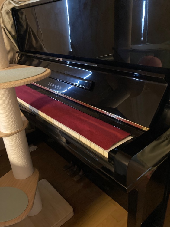 U３　Ｈ2883146（ピアノ・楽器・PA機材）の商品画像 - 査定依頼日：2026年3月26日 - 最高査定価格：20,000円