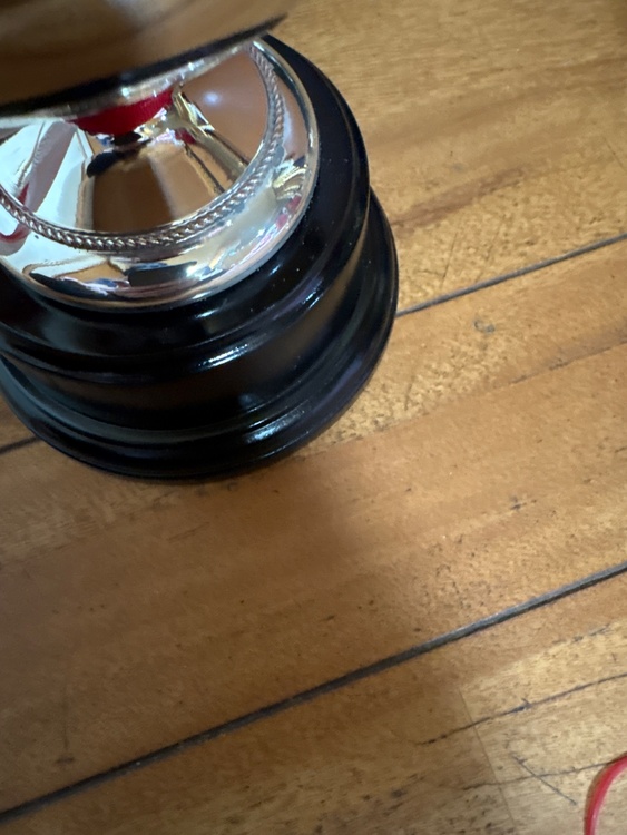 トロフィー（金・貴金属）の商品画像 - 査定依頼日：2026年1月20日 - 最高査定価格：100円