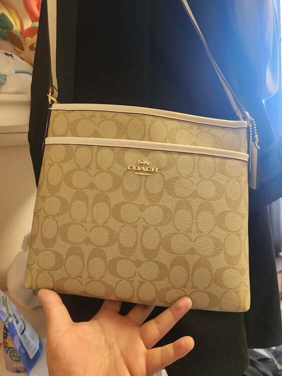 その他 コーチ （ブランドバッグ）の商品画像 - 査定依頼日：2025年3月30日 - 最高査定価格：3,000円