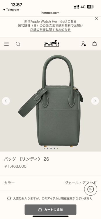 エルメス リンディ （ブランドバッグ）の商品画像 - 査定依頼日：2025年10月4日 - 最高査定価格：1,200,000円