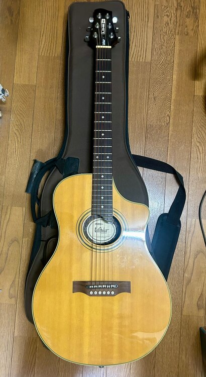 line6 のvariax acoustic（ピアノ・楽器・PA機材）の商品画像 - 査定依頼日：2025年4月25日 - 最高査定価格：46,000円