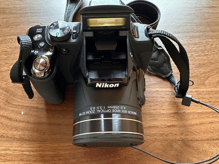 p610（カメラ）の商品画像 - 査定依頼日：2025年4月30日 - 最高査定価格：18,000円