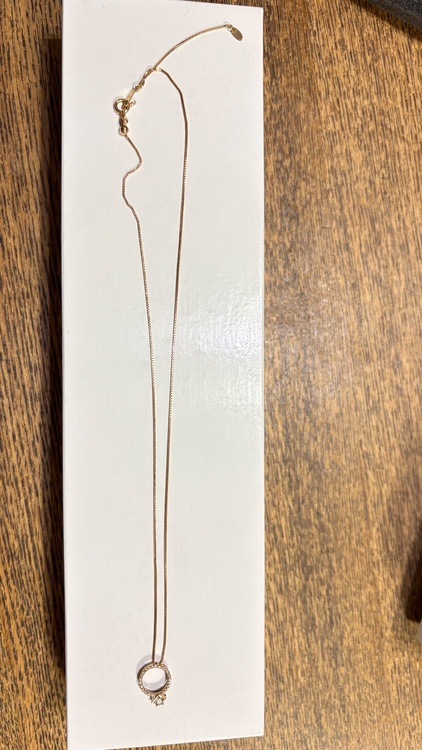 ネックレス（金・貴金属）の商品画像 - 査定依頼日：2026年9月28日 - 最高査定価格：100,000円
