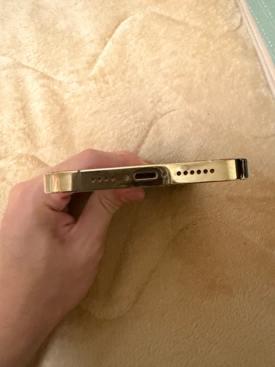 iPhone iPhone 13 Pro Max 256GB SIMフリー（スマホ）の商品画像 - 査定依頼日：2026年6月9日 - 最高査定価格：62,000円