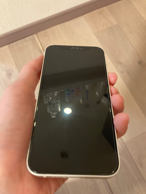 iPhone iPhone 12 mini 64GB 楽天モバイル（スマホ）の商品画像 - 査定依頼日：2026年9月25日 - 最高査定価格：19,000円