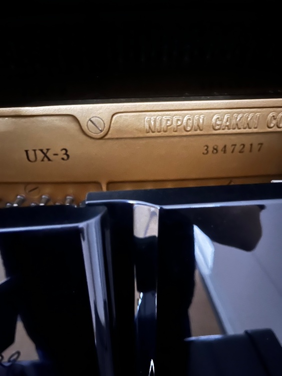 UX-3 3847217（ピアノ・楽器・PA機材）の商品画像 - 査定依頼日：2026年6月30日 - 最高査定価格：20,000円