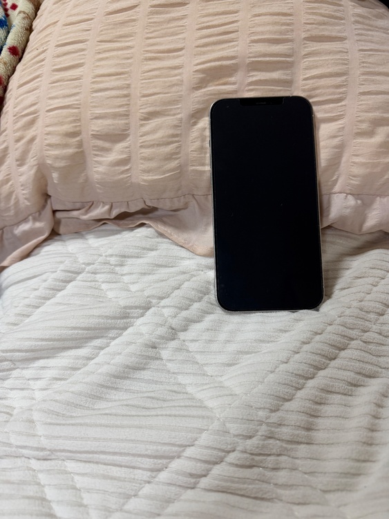 iPhone 12 Pro Max 256GB docomo（スマホ）の商品画像 - 査定依頼日：2026年1月6日 - 最高査定価格：47,000円