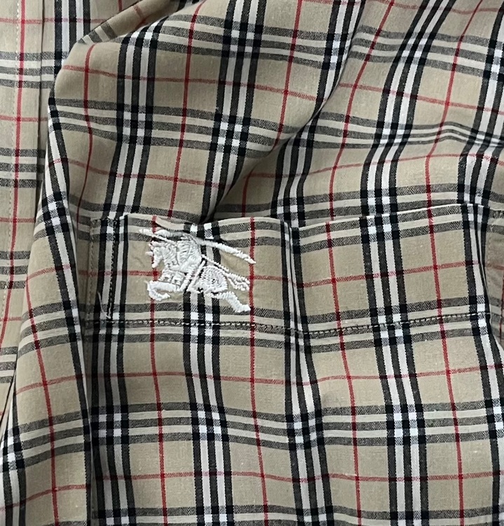 Burberrys チェック柄 Lサイズ半袖シャツ（古着・ファッション）の商品画像 - 査定依頼日：2025年11月17日 - 最高査定価格：500円