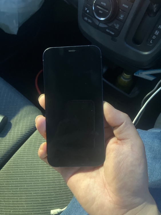 iPhone iPhone 12 256GB SIMフリー（スマホ）の商品画像 - 査定依頼日：2026年7月5日 - 最高査定価格：26,000円
