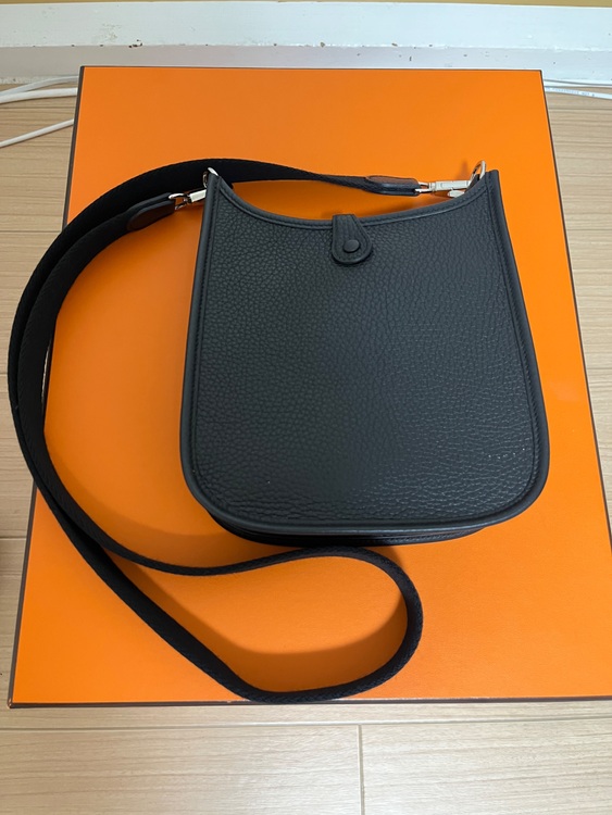 ミニエブリン（ブランドバッグ）の商品画像 - 査定依頼日：2025年8月24日 - 最高査定価格：330,000円