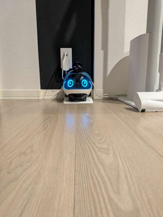 ebo x family companion robot（家電）の商品画像 - 査定依頼日：2025年1月2日