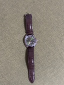 セイコー プロスペックス セプロスペックス アルピニスト SBDC091（高級時計）の商品画像 - 査定依頼日：2026年4月13日 - 最高査定価格：70,000円