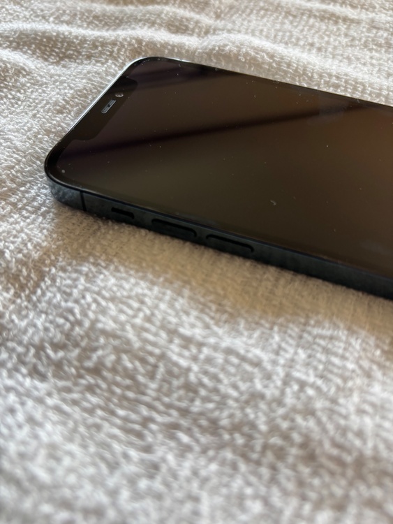 iPhone 12 Pro 256GB SIMフリー（スマホ）の商品画像 - 査定依頼日：2026年3月24日 - 最高査定価格：31,000円