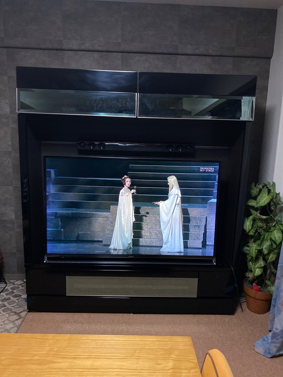 テレビボード（家具・寝具）の商品画像 - 査定依頼日：2026年7月4日 - 最高査定価格：5,000円